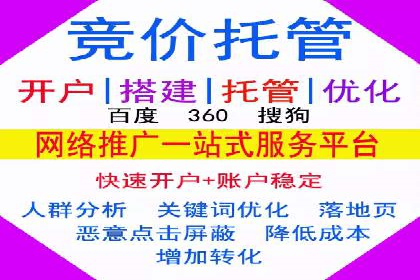 成功SEM服务案例：优化广告投放